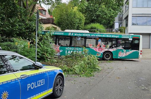 Offenbar hat ein medizinischer Notfall dafür gesorgt, dass der Busfahrer die Kontrolle über sein Fahrzeug verlor. Foto: Andreas Rosar/Fotoagentur Stuttgart