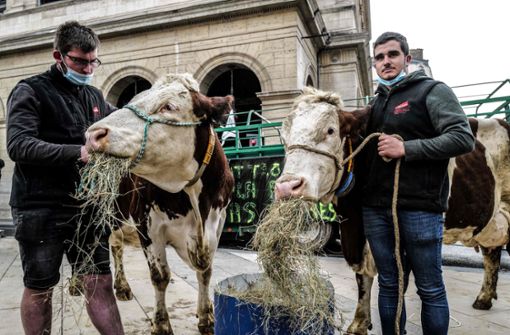Französische Bauern protestieren in Lyon vor dem Rathaus gegen die Entscheidung, in Schulmensen nur noch ein vegetarisches Gericht anzubieten. Foto: AFP/OLIVIER CHASSIGNOLE