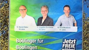 Lauter Böblinger für Böblingen: die Gemeinderatskandidaten Foto: StZ