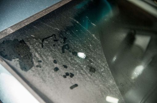 Eine Autoscheibe ist von mehreren Stahlrundkugeln beschädigt worden. Foto: SDMG