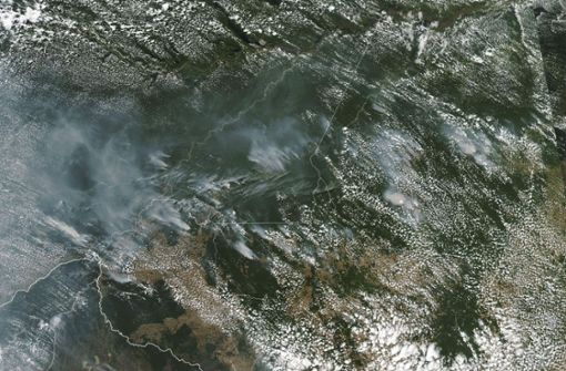 Auf dem Weltraumbild sind deutlich mehrere Brände im Amazonasgebiet zu sehen. Foto: AFP