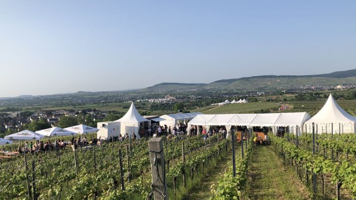 Weinfest in Kernen-Stetten: Bei Traumwetter zum Weinweg nach Stetten