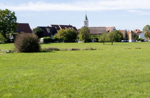 Auf dem  2,1 Hektar großen  Warmbronner Areal     Hinter den Gärten soll ein neues Wohnquartier  entstehen. Foto: Jürgen Bach
