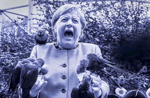 So sah man Angela Merkel selten: Die Bundeskanzlerin, füttert australische Loris im Vogelpark Marlow. Foto: dpa/Georg Wendt