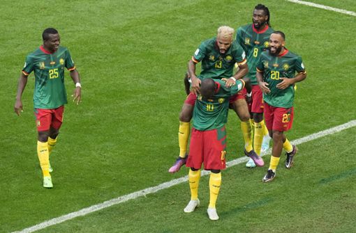 Kamerun zeigte eine starke Aufholjagd beim WM-Spiel gegen Serbien. Foto: dpa/Pavel Golovkin