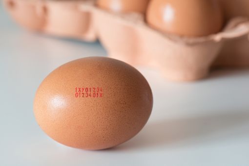 Was bedeutet der Code auf den Eiern?