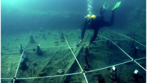 Ein Kanu wird Boden des Braccianosees ausgegraben. Die abgenutzten Überreste der mehr als 7000 Jahre alten Kanus lassen erahnen, wie ausgeprägt das Wissen über die Seefahrt bereits in der Jungsteinzeit war. Foto: Gibaja Et Al/2024, Plos One, C/dpa