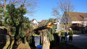 Tief Bennet hat in Baden-Württemberg einige Schäden angerichtet, wie hier in Esslingen. Foto: SDMG