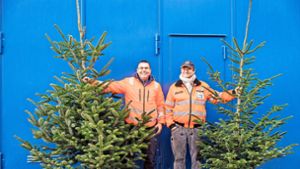 Florin Andrei und Claudius Krafft vom Bauhof sind die Weihnachtsbaum-Jury: Sie suchen die Bäume fürs Stadtgebiet aus. Foto: stefanie schlecht/Stefanie Schlecht