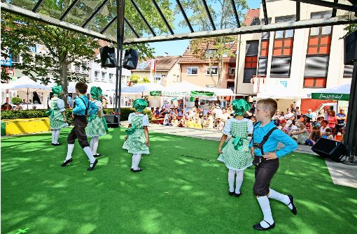 Das bunte Programm auf dem Vaihinger Markt ist passé: Das Kinder- und Heimatfest ist auch dieses Jahr abgesagt. Foto: Thomas Krämer