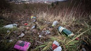 Der Rest vom Silvester-Fest: Müll auf dem Birkenkopf. Eine Aufnahme vom Dienstag dieser Woche. Foto: Lichtgut/Achim Zweygarth
