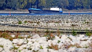 Im Rhein – hier in Karlsruhe – können die Schiffe wegen des niedrigen Pegels nicht mehr mit voller Ladung fahren. Foto: dpa