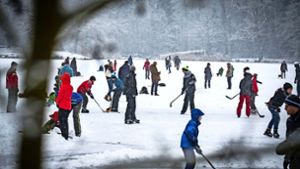 Eislaufen auf den Wildparkseen ist zwar romantischer als in der Eishalle, aber  gefährlich und deswegen verboten. Foto: Lichtgut/Achim Zweygarth