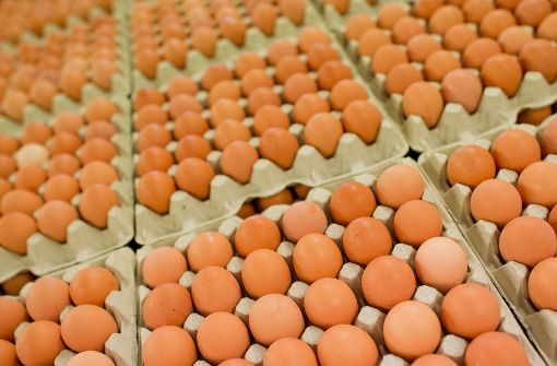 Hennen dürfen wegen der Vogelgrippe seit Wochen nicht ins Freie. Daher werden von nun an  Freiland-Eier aus Mecklenburg-Vorpommern als Bodenhaltungseier ausgezeichnet und vermarktet. Foto: dpa