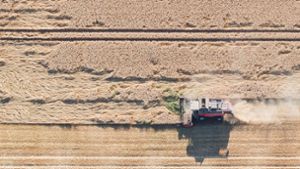 Getreideernte in Niedersachsen: Es ist staubtrocken und die Ernteverluste sind groß. Foto: dpa