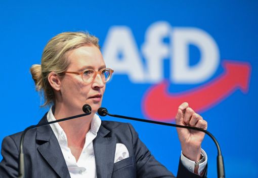 Alice Weidel beim Landesparteitag in Stuttgart Foto: Bernd Weißbrod/dpa