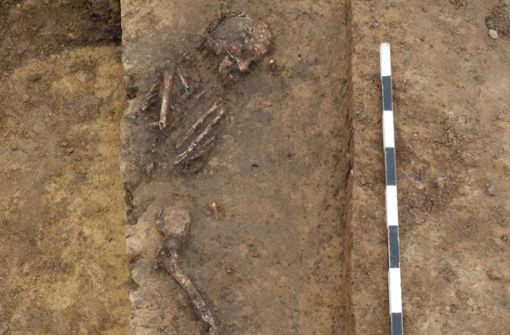 Diese Knochen stammen wohl von einer Frau, die vor etwa 7000 Jahren  in Leinfelden beerdigt wurde. Foto: Landesamt für Denkmalpflege im Regierungspräsidium Stuttgart/ArchaeoBW