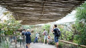 Die neue Australienanlage ist zum Besuchermagnet in der Wilhelma geworden. Das geplante Elefantengehege könnte für den Zoo einen ähnlichen Effekt haben. Foto: Lichtgut/Ferdinando Iannone