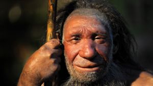 Wann sind sich Neandertaler und Urmenschen begegnet? Tübinger Forscher liefern Antworten. Foto: dpa