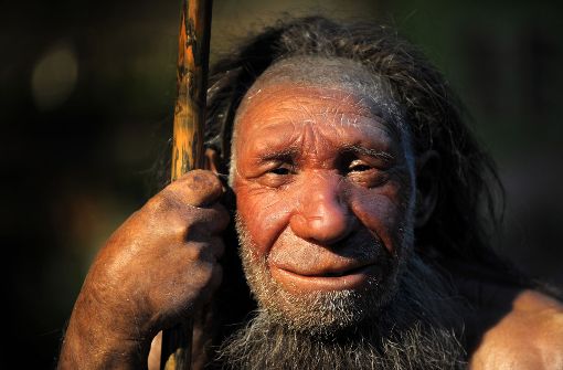 Wann sind sich Neandertaler und Urmenschen begegnet? Tübinger Forscher liefern Antworten. Foto: dpa
