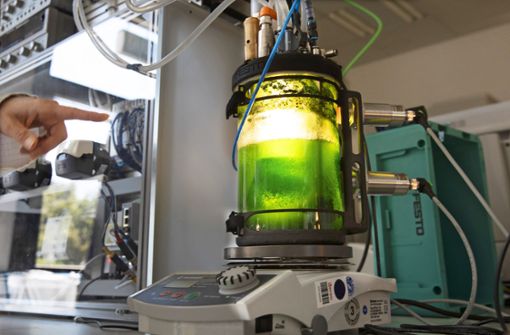 Ein kleiner Bioreaktor im Festo-Lifetech-Labor: Die leuchtend grünen Algen können unter anderem einen Biokunststoff herstellen. Foto: Horst Rudel