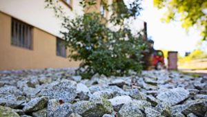 Steine im Garten statt Gras, Erde und Blumen – sollte man das verbieten? Foto: Frank Eppler