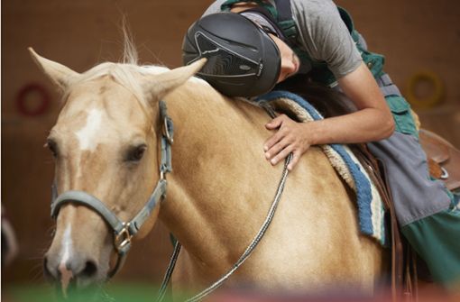 Die Pferde auf dem Hof am Schlossberg sind   Therapeuten, Partner  und Freunde für die Reiterinnen und Reiter. Foto: Gottfried Stoppel/Gottfried Stoppel