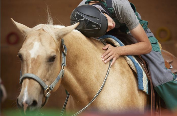 Hippotherapie auf dem Pferdehof in Stetten: Therapeuten auf vier Hufen