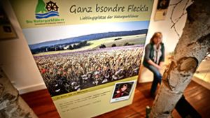 Die Naturparkführerin Beate Siegel  empfiehlt in der Ausstellung eine Visite des zu Kaisersbach gehörenden Weilers Schloßhof, wegen der grandiosen Landschaft. Foto: Gottfried Stoppel