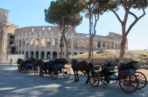 Laut der Zeitung „Corriere della Sera“ gibt es in Rom noch 21 Kutscher mit einer offiziellen Lizenz. Foto: Petra Kaminsky/dpa