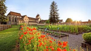 Die Wiege des europäischen Gartenbaus steht auf der Insel Reichenau. Foto: Helmuth Scham/Bodenseegärten