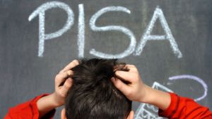 Bleibt deutschen Schülern die Pisa-Studie künftig erspart? Foto: dpa/Jens Büttner