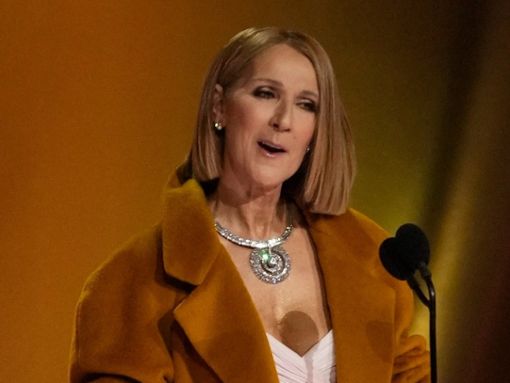 Céline Dion überraschte bei den Grammys 2024 mit einem Auftritt. Foto: Robert Hanashiro/USA TODAY/ddp images/Sipa USA