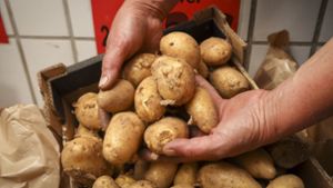 Kartoffeln sind ein beliebtes Grundnahrungsmitteln, haben aber ihre Eigenheiten. Foto: factum/Simon Granville