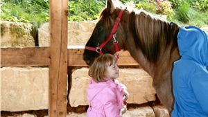 Zunächst beschnuppern sich Kinder und Pferde vorsichtig Foto: Anna-Lena Kümpel