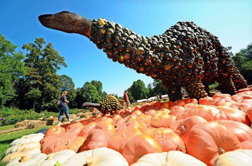 Egal, ob mit riesigen Dino-Skulpturen oder beim Paddeln im Kürbis: Die Kürbisausstellung ist jedes Jahr eine der Hauptattraktionen im Blühenden Barock.Fotos: dpa Foto:  