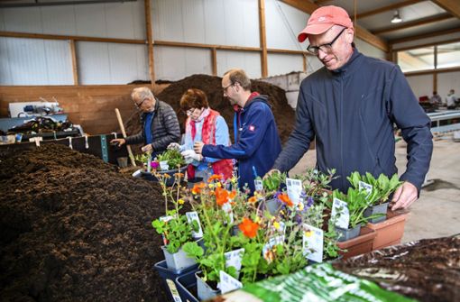 Jens Häußler vom Landkreis Esslingen (Zweiter von rechts) unterstützt beim Bepflanzen der Blumenkästen. Foto: Ines Rudel