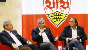 Stellen sich den Fragen: Die Aufsichtsratmitglieder Hartmut Jenner, Wilfried Porth und Martin Schäfer. Foto: Baumann