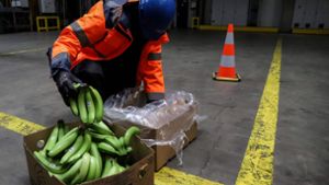 Auf der Suche nach geschmuggeltem Kokain. Die Drogen werden auch in Bananenkisten nach Europa gebracht. Der Hafen von Antwerpen hat sich dabei zu einem der größten Umschlagplätze entwickelt. Foto: AFP/Valeria Mongelli