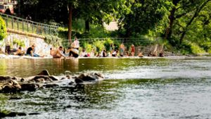 Die Dreisam in Freiburg verkraftet laut einer Studie die Einleitung von Abwasser in der Regel gut. Foto: dpa/Philipp von Ditfurth