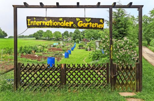 In   und  um den Internationalen Garten in Ditzingen hat die Natur ihren Raum. Der  Verband LEV will die Kulturlandschaft insgesamt   pflegen, nicht nur in geschützten Bereichen. Foto: factum/Granville