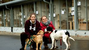 Um die  Tiere kümmern sich in Göppingen Helferinnen wie Maren Thompson (links) und Anna de Jesus Relva. Foto: Ines Rudel