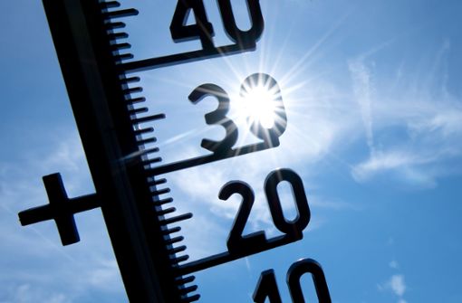 Bereits das bundesweite Temperatur-Maximum am Samstag war mit 38,2 Grad auf dem Trierer Petrisberg registriert worden. Foto: dpa/Sven Hoppe