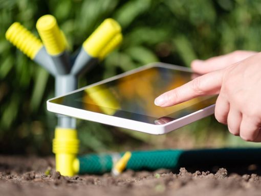 Ist das Smart-Gardening-System einmal eingerichtet, kümmert es sich fast von allein um den Garten. Foto: Happy_Nati/Shutterstock.com