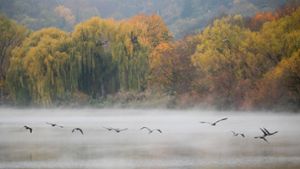 Der Max-Eyth-See in Stuttgart ist ein Refugium nicht nur für Wasservögel. Unser Bilderstrecke gibt einen Überblick, was Grüne, CDU, AfD und Co. im Bereich Umwelt und Naturschutz für die Landtagswahl 2021 fordern. Foto: dpa/Christoph Schmidt