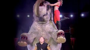 Von Freitag an in Stuttgart:  der Circus Carl Busch mit seiner Elefanten-Show Foto: carl  busch