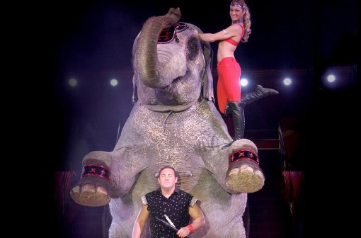 Von Freitag an in Stuttgart:  der Circus Carl Busch mit seiner Elefanten-Show Foto: carl  busch