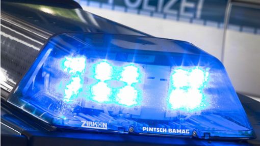 Im Fall des Schusses am Ditzinger Bahnhof ermittelt die Polizei weiter. Foto: dpa/Friso Gentsch