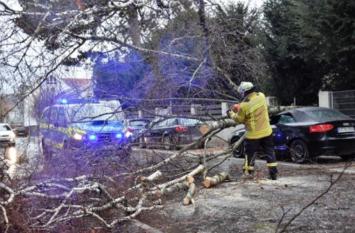 In Nürtingen wurden mehrere Autos durch umstürzende Bäume beschädigt Foto: SDMG
