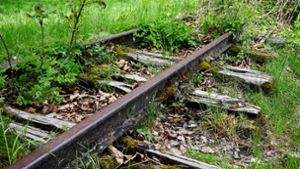 Teile der alten Gleise der Bottwartalbahn  sind sogar noch erhalten. Foto: Archiv (Werner Kuhnle